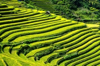Yên Bái Vietnam